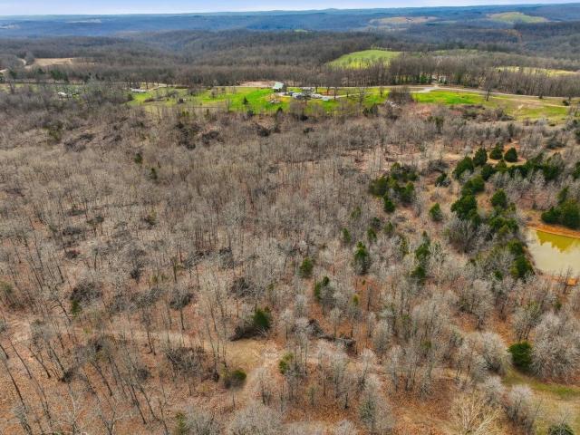 Land for sale in Willow Springs, Missouri
