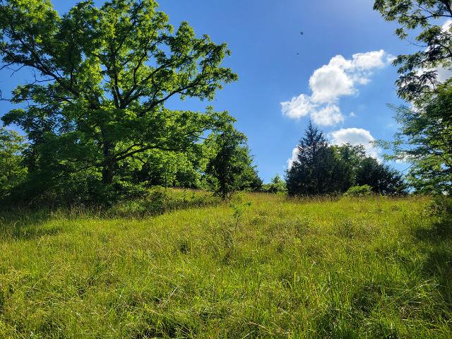 Land for sale in Missouri