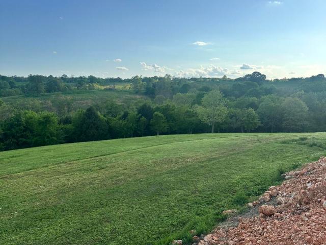 Land for sale in Pineville, Missouri