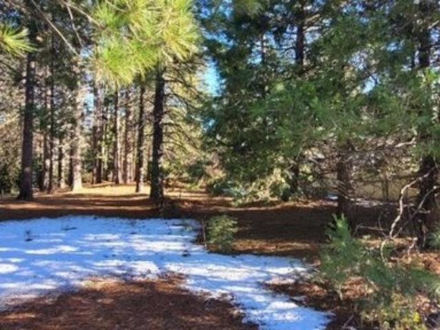 Land for sale in Mount Shasta, California