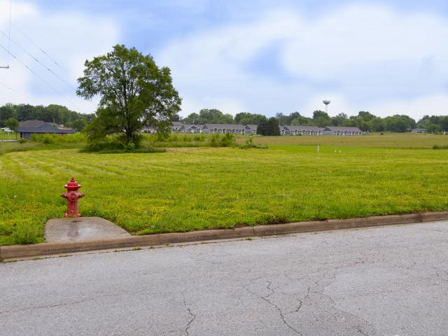 Land for sale in Buffalo, Missouri