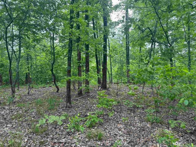 Land for sale in Ark