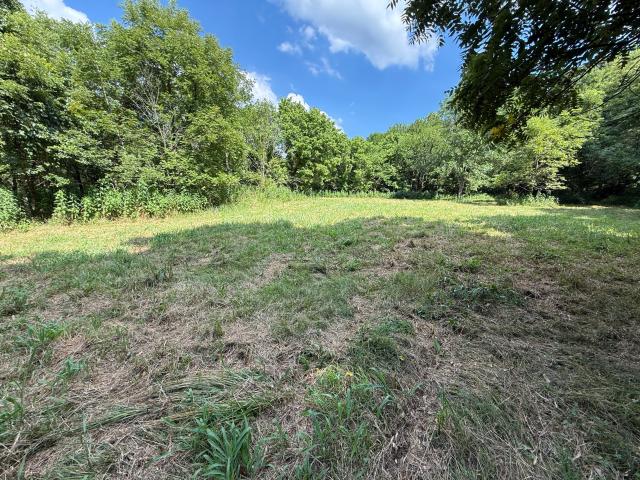Land for sale in Pierce City, Missouri