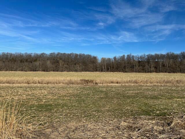 Land for sale in Pierce City, Missouri