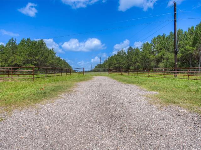 Land for sale in Walker, Texas