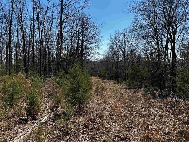 Land for sale in Mountain View, Stone County