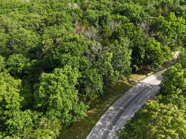 Land for sale in Stone, Missouri