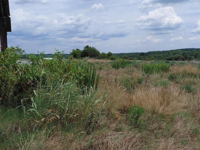 Land for sale in North Carolina