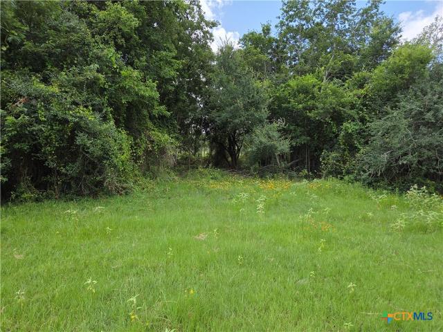 Land for sale in Milano, Texas
