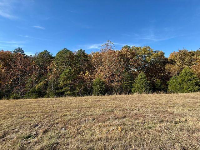 Land for sale in Cabool, Missouri