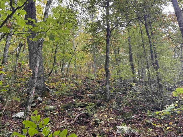 Land for sale in Ark
