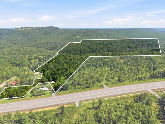 Land for sale in Clinton, Van Buren County