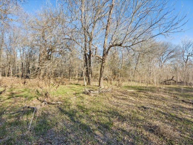 Land for sale in La Grange, Texas