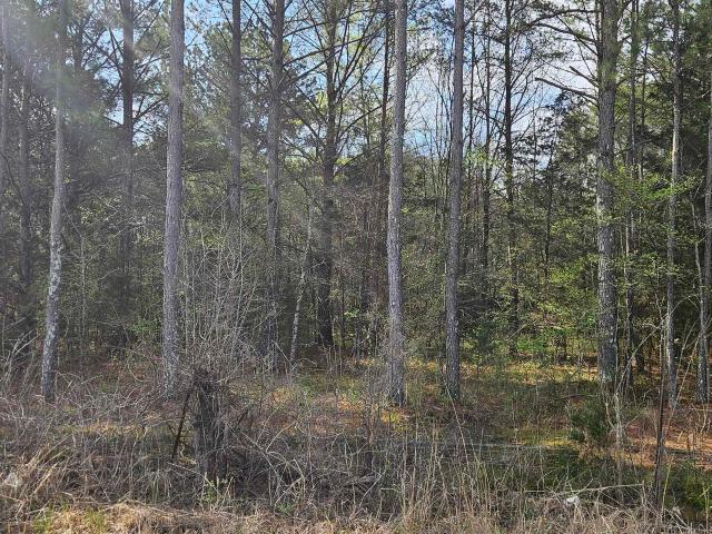 Land for sale in Cherokee, Alabama