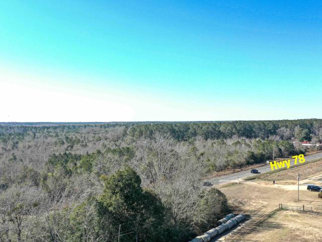Land for sale in Williston, South Carolina