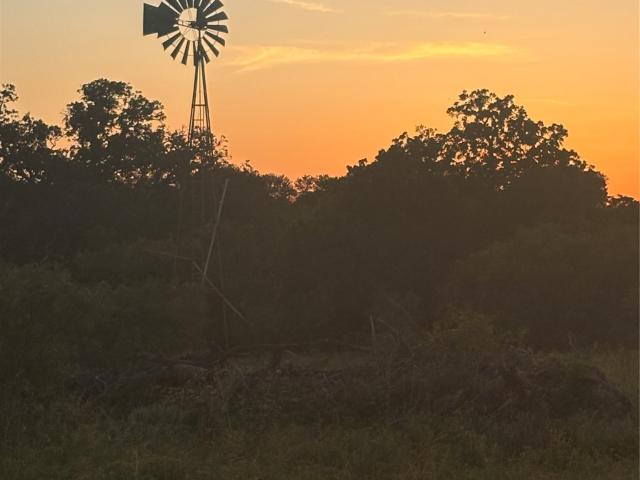 Land for sale in Waelder, Texas
