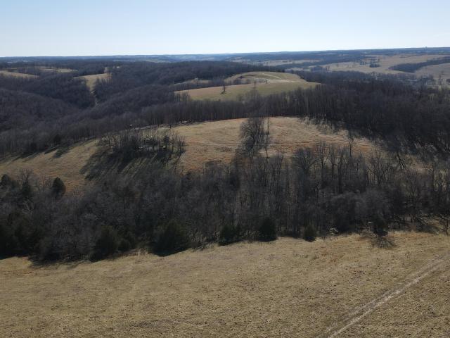 Land for sale in Barry, Missouri
