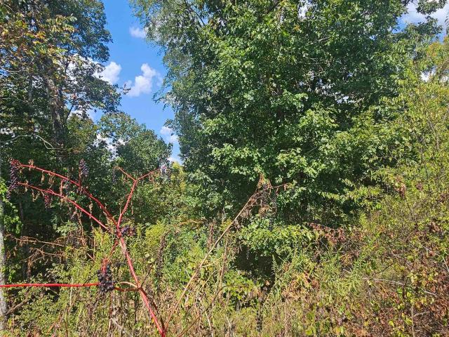 Land for sale in Riverton, Cherokee