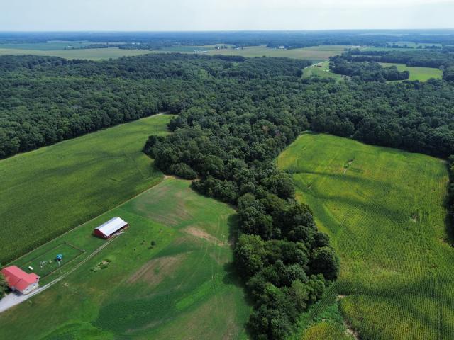 Farm for sale in Iuka, Illinois