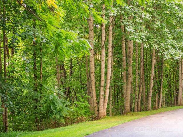 Land for sale in Etowah, North Carolina