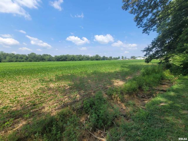 Land for sale in Dahlgren, Illinois