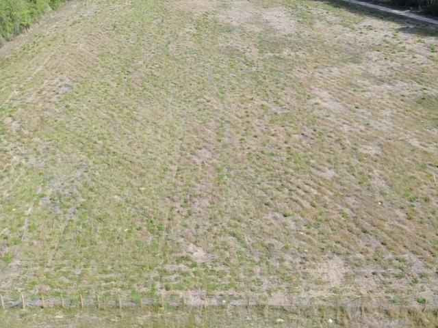 Land for sale in Walterboro, South Carolina