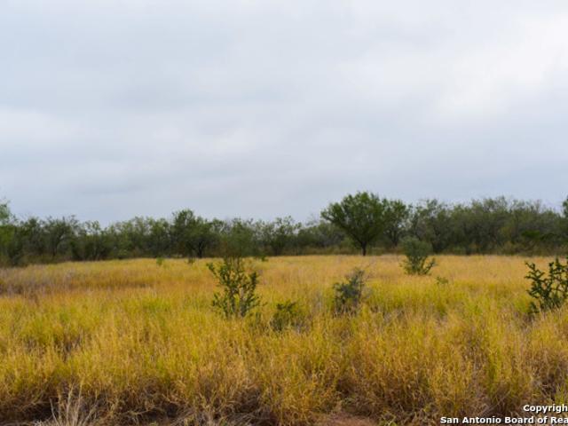 Land for sale in Laredo, Texas