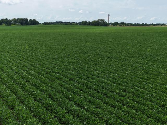 Farm for sale in Whiteside, Illinois