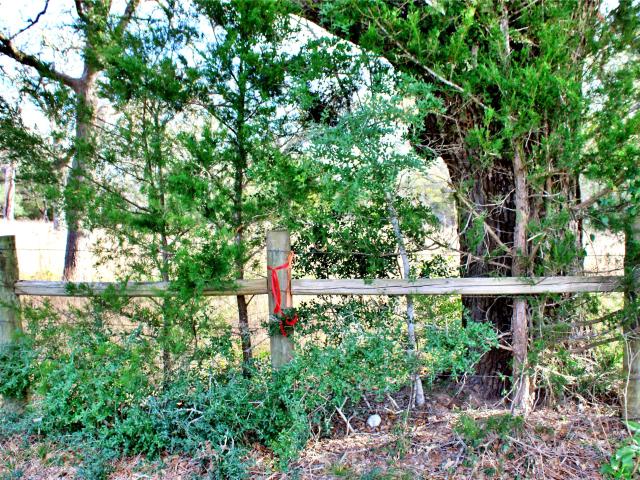 Land for sale in Columbus, Texas