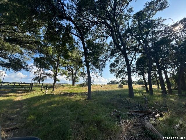 Land for sale in Blanco, Texas