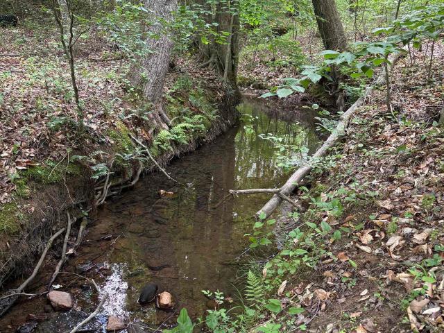 Land for sale in Virginia