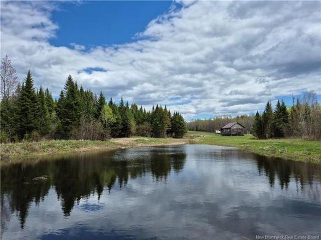 Land for sale in Napadogan, New Brunswick