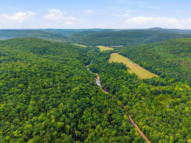 Land for sale in Clinton, Van Buren County