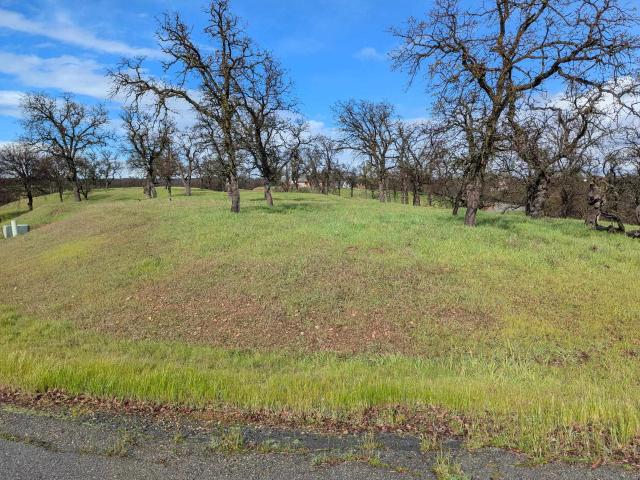 Land for sale in Red Bluff, Tehama County
