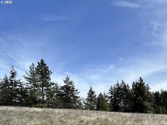 Land for sale in Lyle, Washington