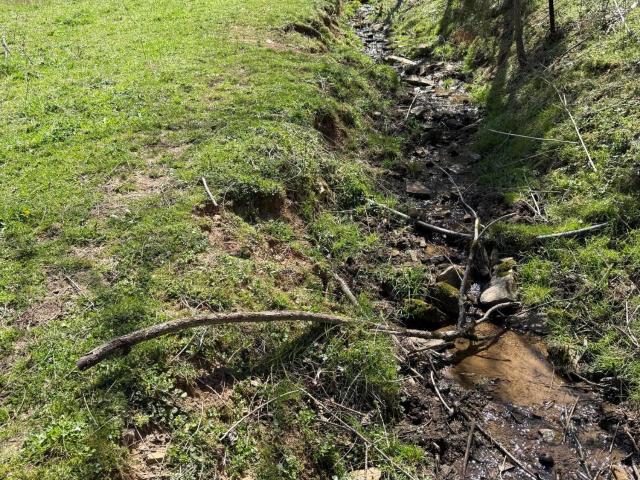 Land for sale in Tennessee