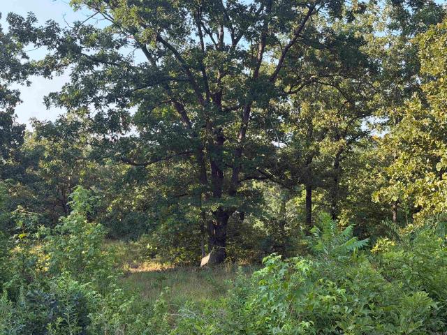 Land for sale in Searcy, White County
