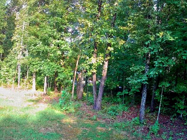 Land for sale in Tennessee