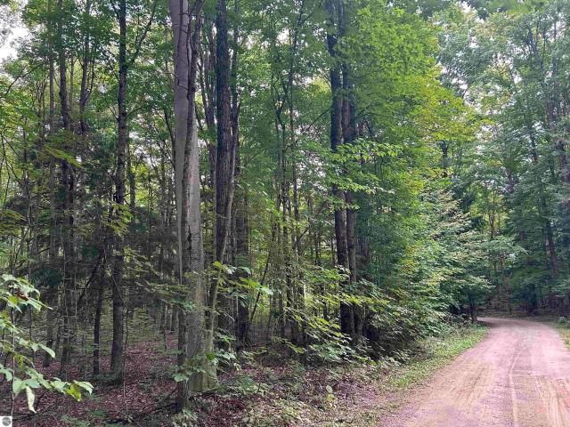 Land for sale in Green Lake, Michigan