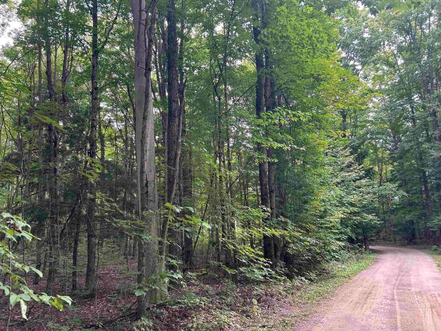 Land for sale in Green Lake, Michigan