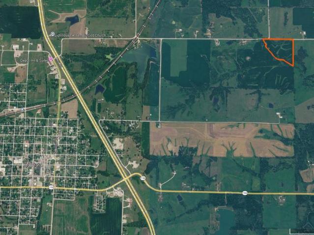 Land for sale in La Plata, Macon County