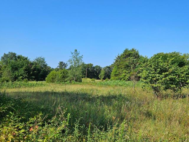 Land for sale in Pierce City, Missouri