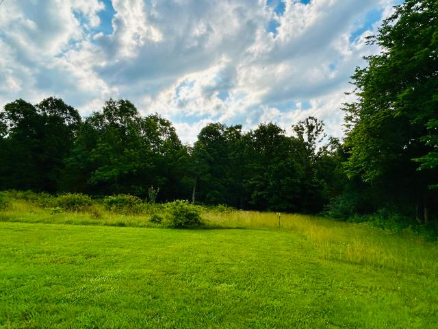 Land for sale in Marionville, Missouri
