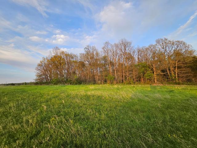 Land for sale in Monett, Missouri