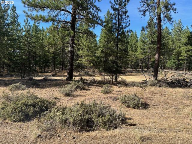 Land for sale in Goldendale, Washington