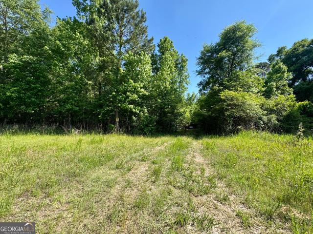 Land for sale in Greensboro, Georgia