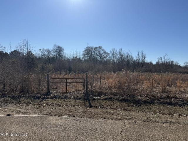 Land for sale in Terry, Mississippi