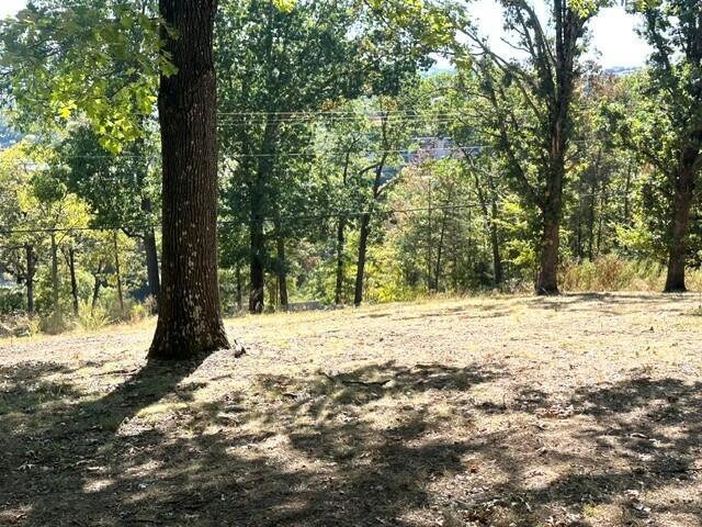 Land for sale in Kimberling City, Stone County