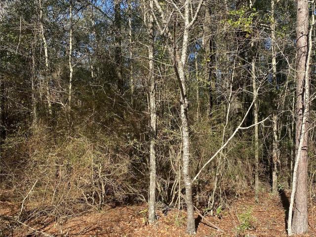 Land for sale in Andalusia, Alabama