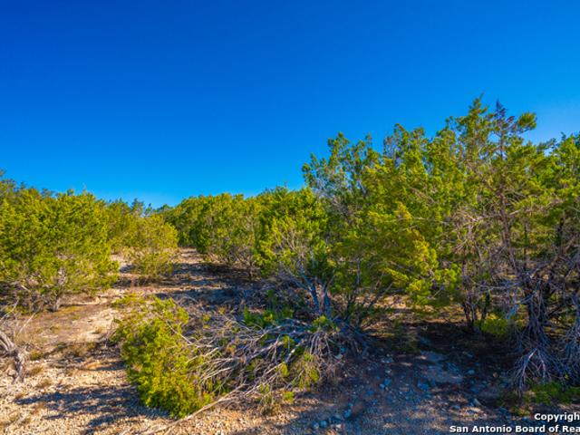 Commercial Land for sale in Leakey